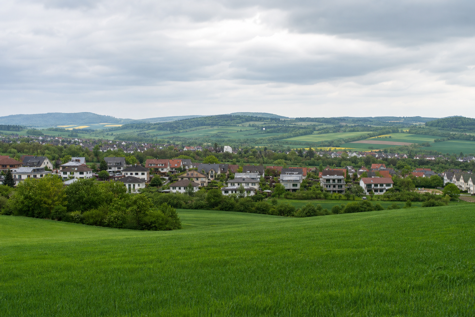 Leonberg
